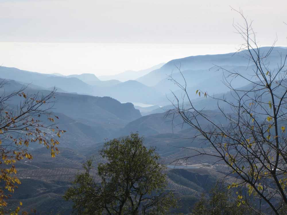 Shades in the valley