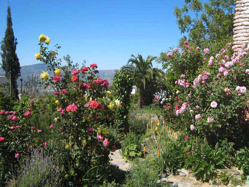 De tuin van Viña y Rosales