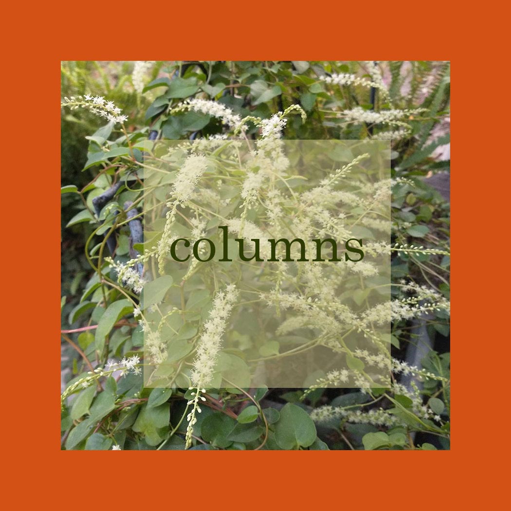 columns