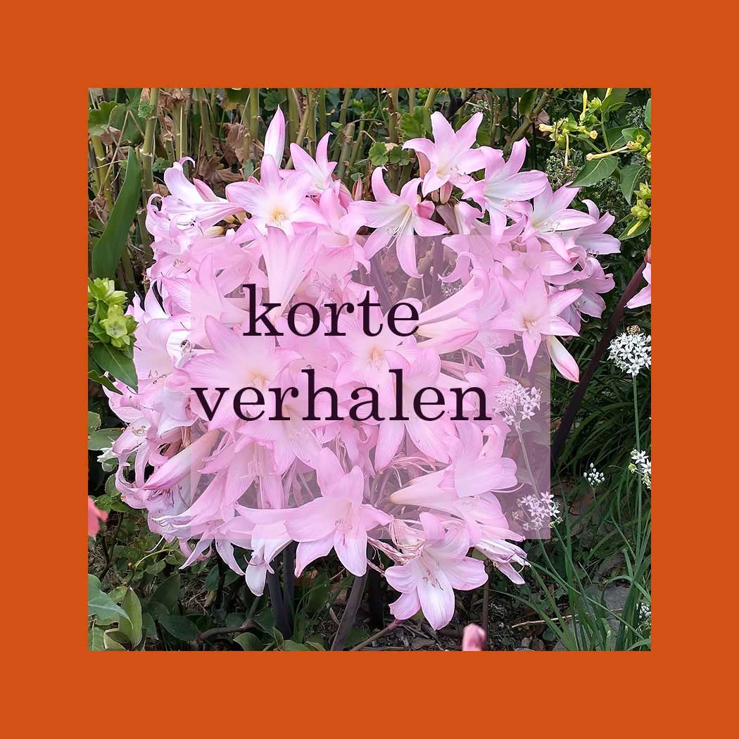 korte verhalen