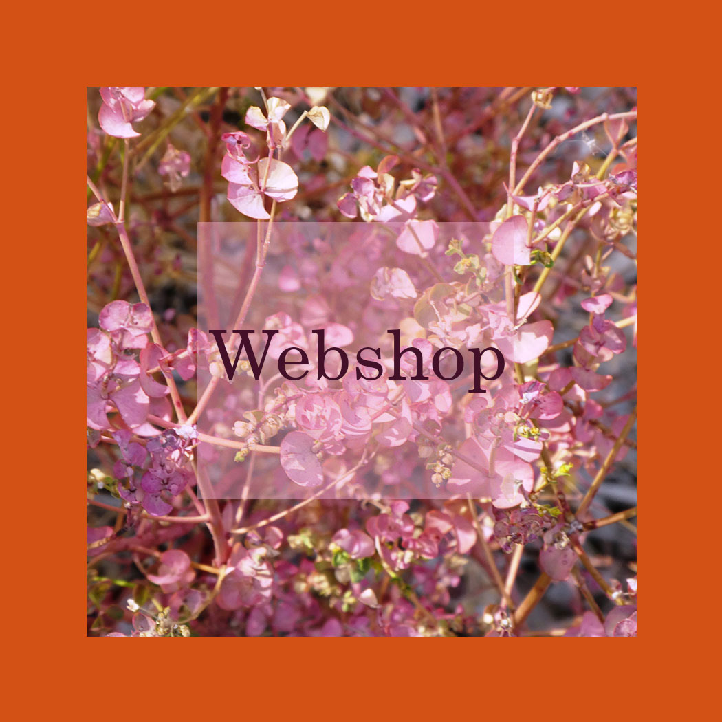 webshop